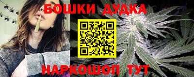 a pvp Тула