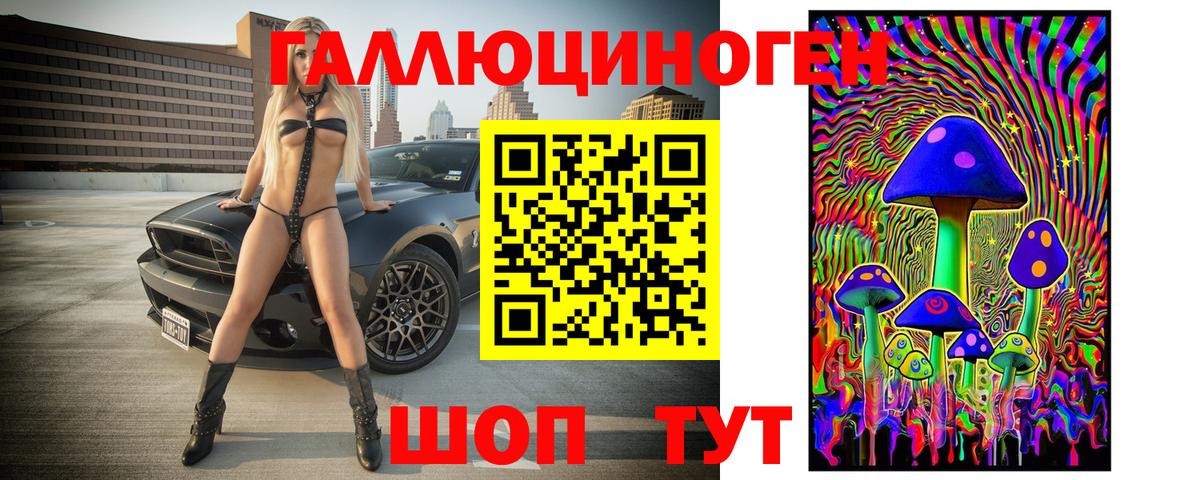 Псилоцибиновые грибы Cubensis Кунгур
